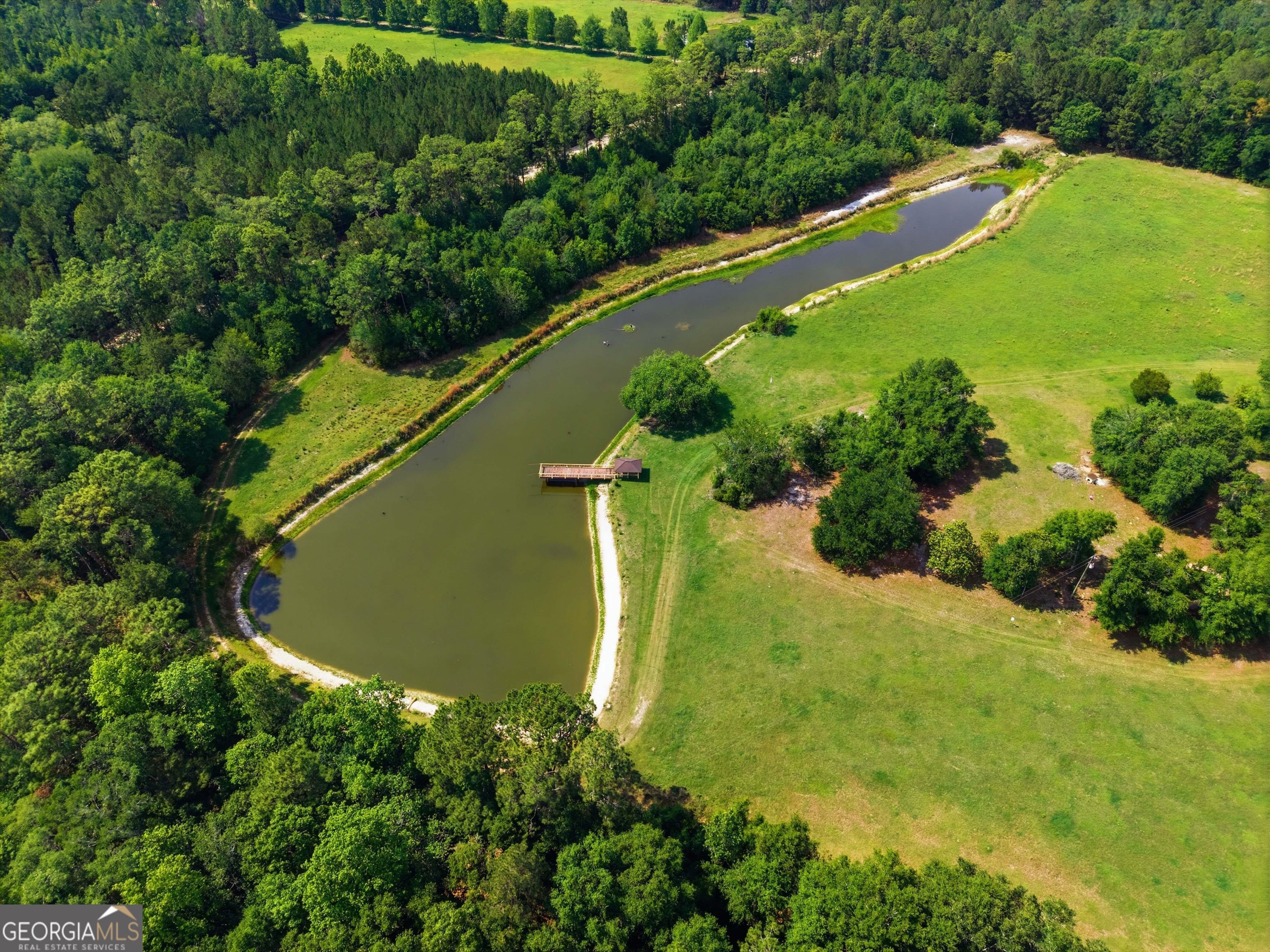 1525 Myron Hart Road Coolidge, GA 31738 - Photo 58 of 58 an aerial view of a residential houses with outdoor space and trees all around