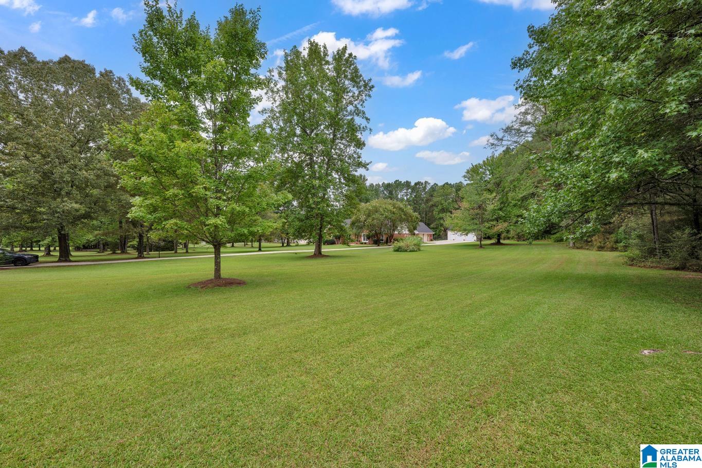 383 Myrick Road Warrior, AL 35180 - Photo 57 of 64