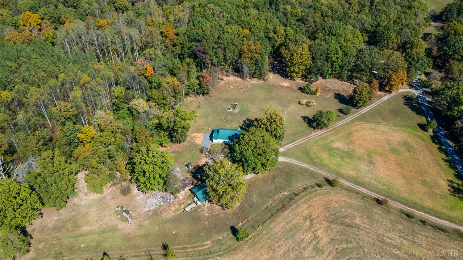 342 Toll Gate Road Concord, VA 24538 - Photo 32 of 48 a view of a tree in a yard