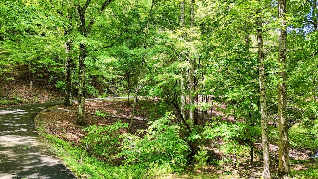 520 Brasstown Road Murphy, NC 28906 - Photo 50 of 61 Gallery Image 50