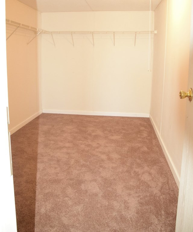 207 Whitley Church Road Princeton, NC 27569 - Photo 10 of 13 Gallery Image 10