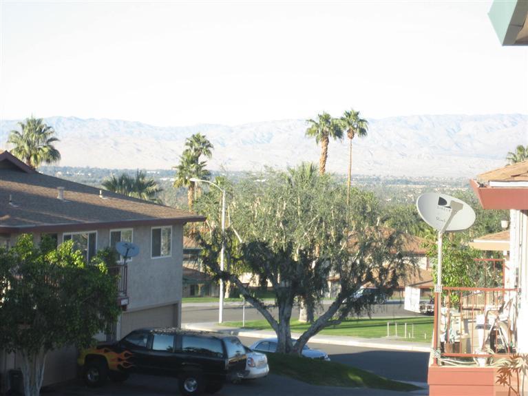 a view of a house with a yard and potted plants