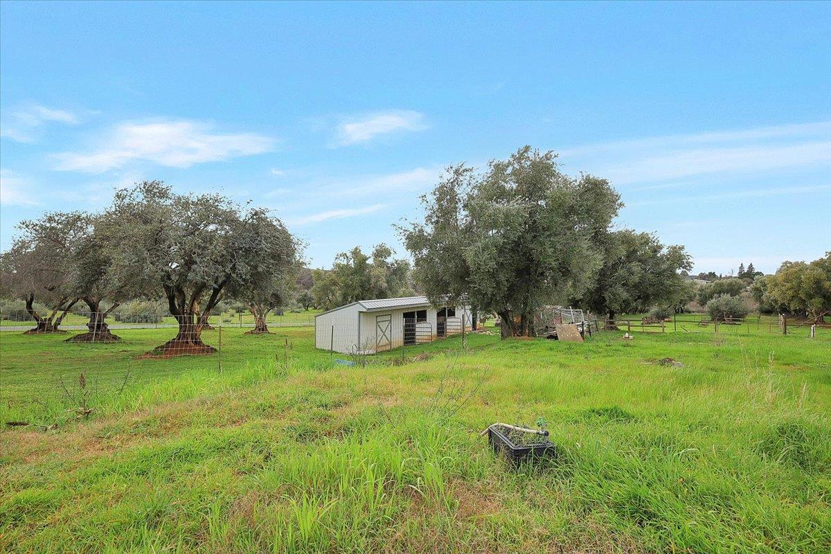 5423 Virginia Road Marysville, CA 95901 - Photo 11 of 67