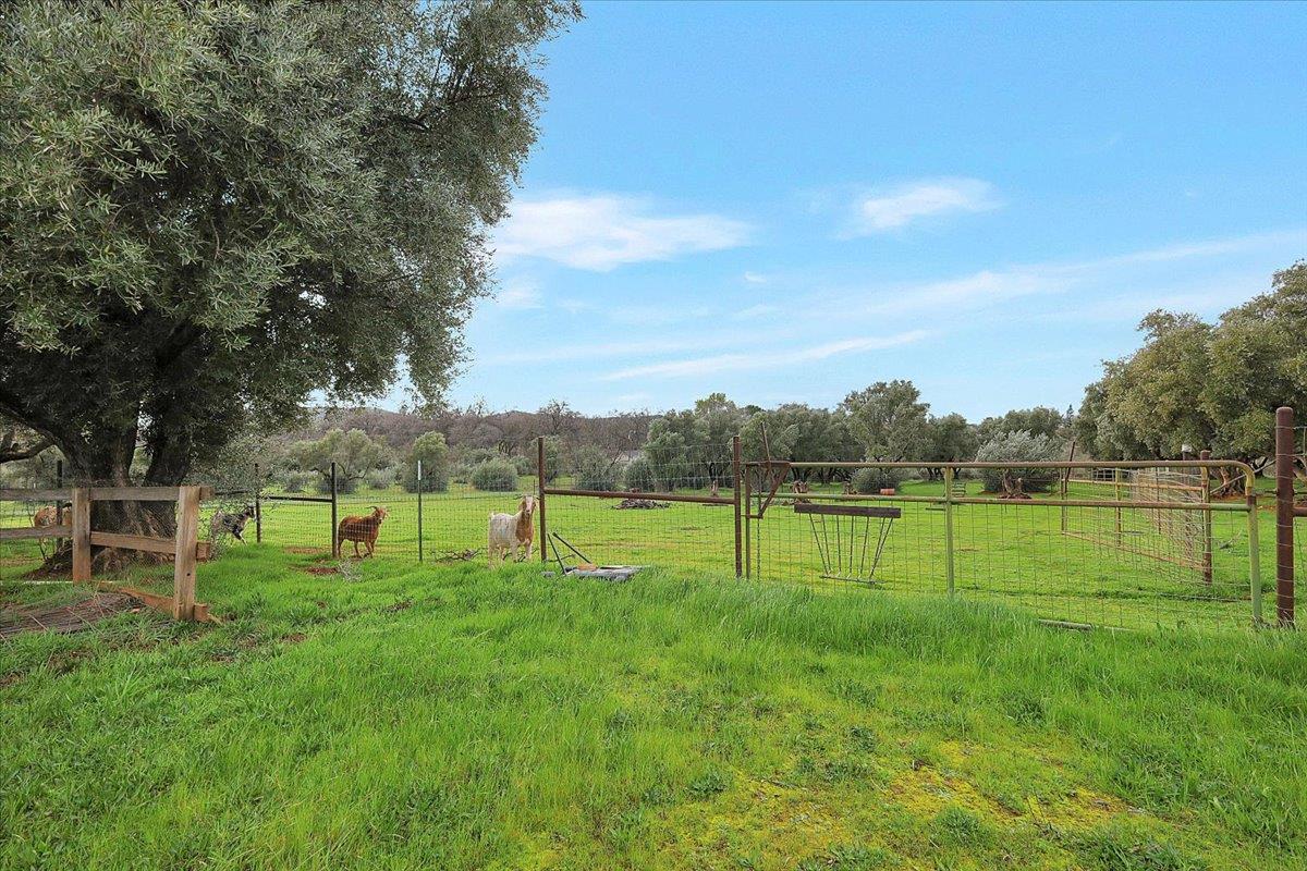 5423 Virginia Road Marysville, CA 95901 - Photo 36 of 67