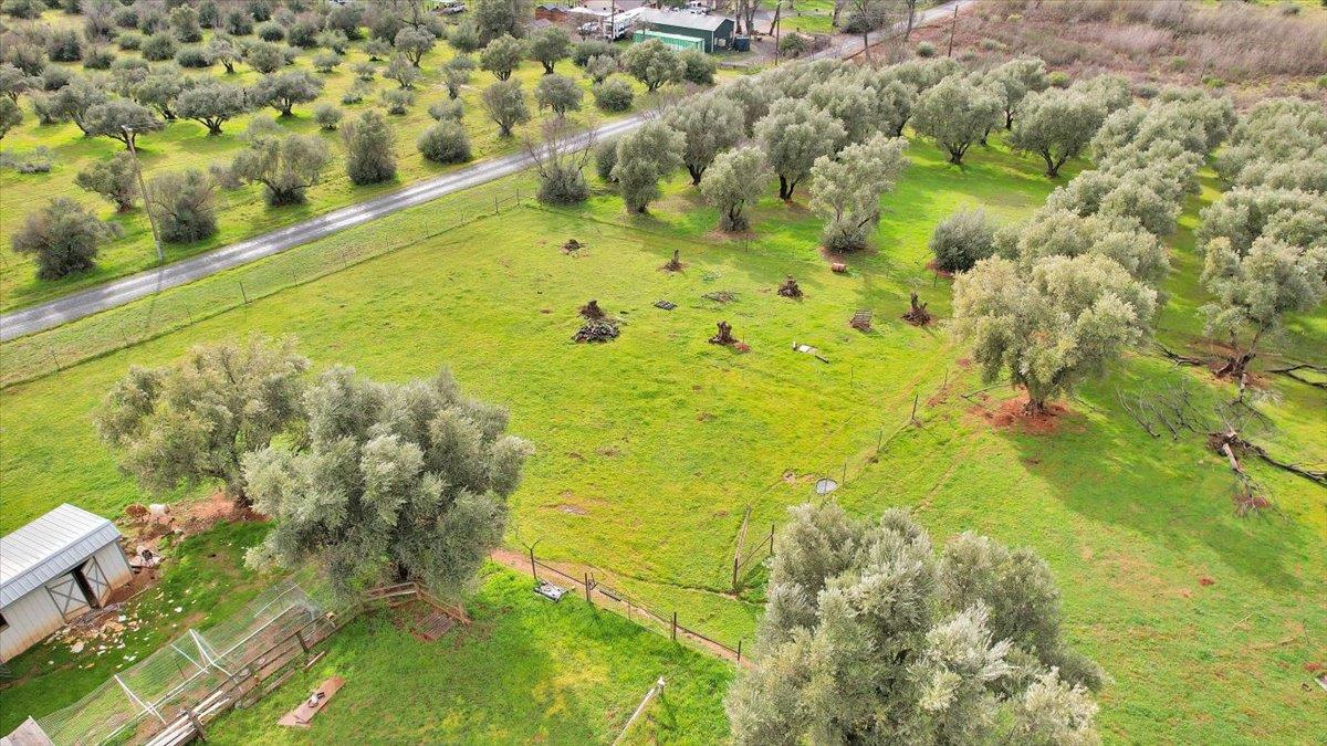 5423 Virginia Road Marysville, CA 95901 - Photo 64 of 67