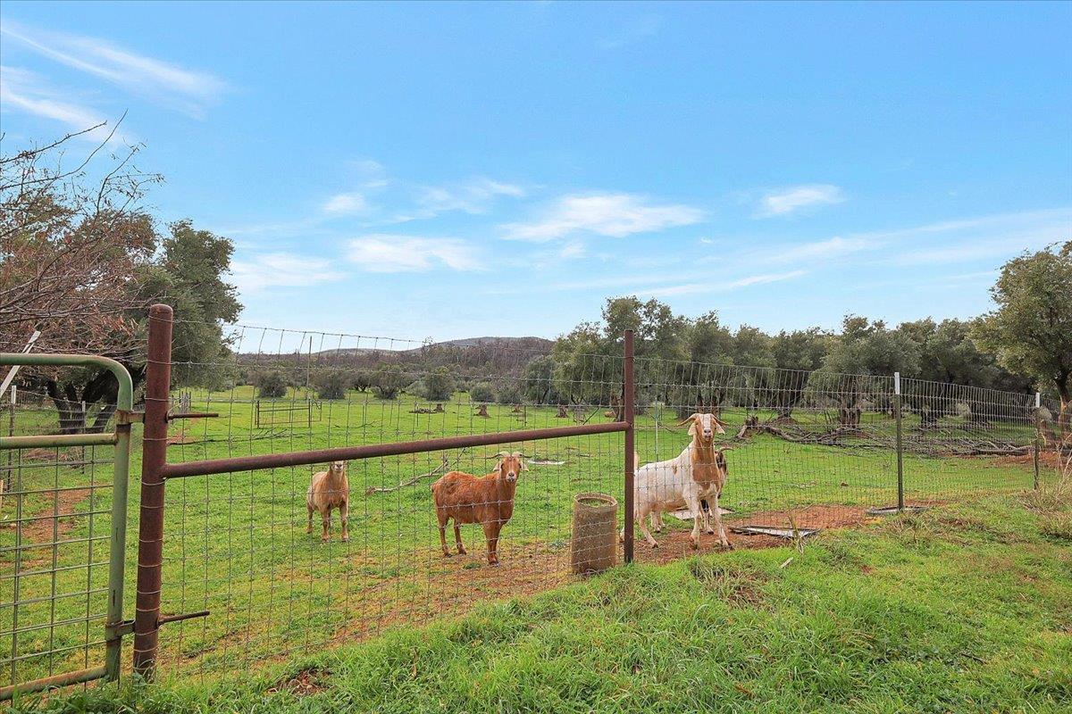 5423 Virginia Road Marysville, CA 95901 - Photo 67 of 67