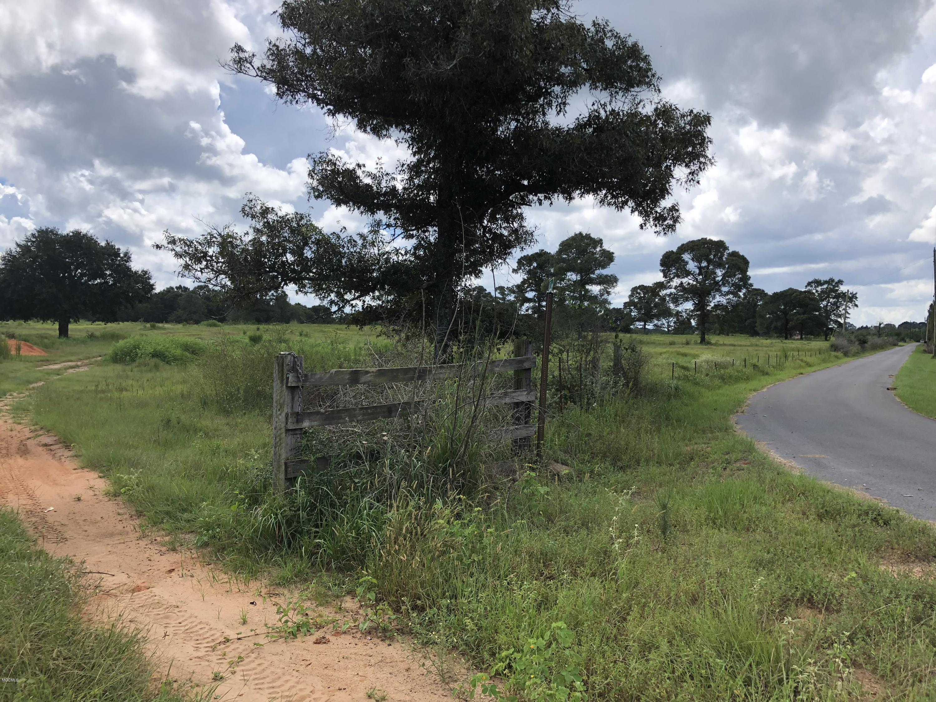0 Kell Road Lucedale, MS 39452 - Photo 1 of 14 015