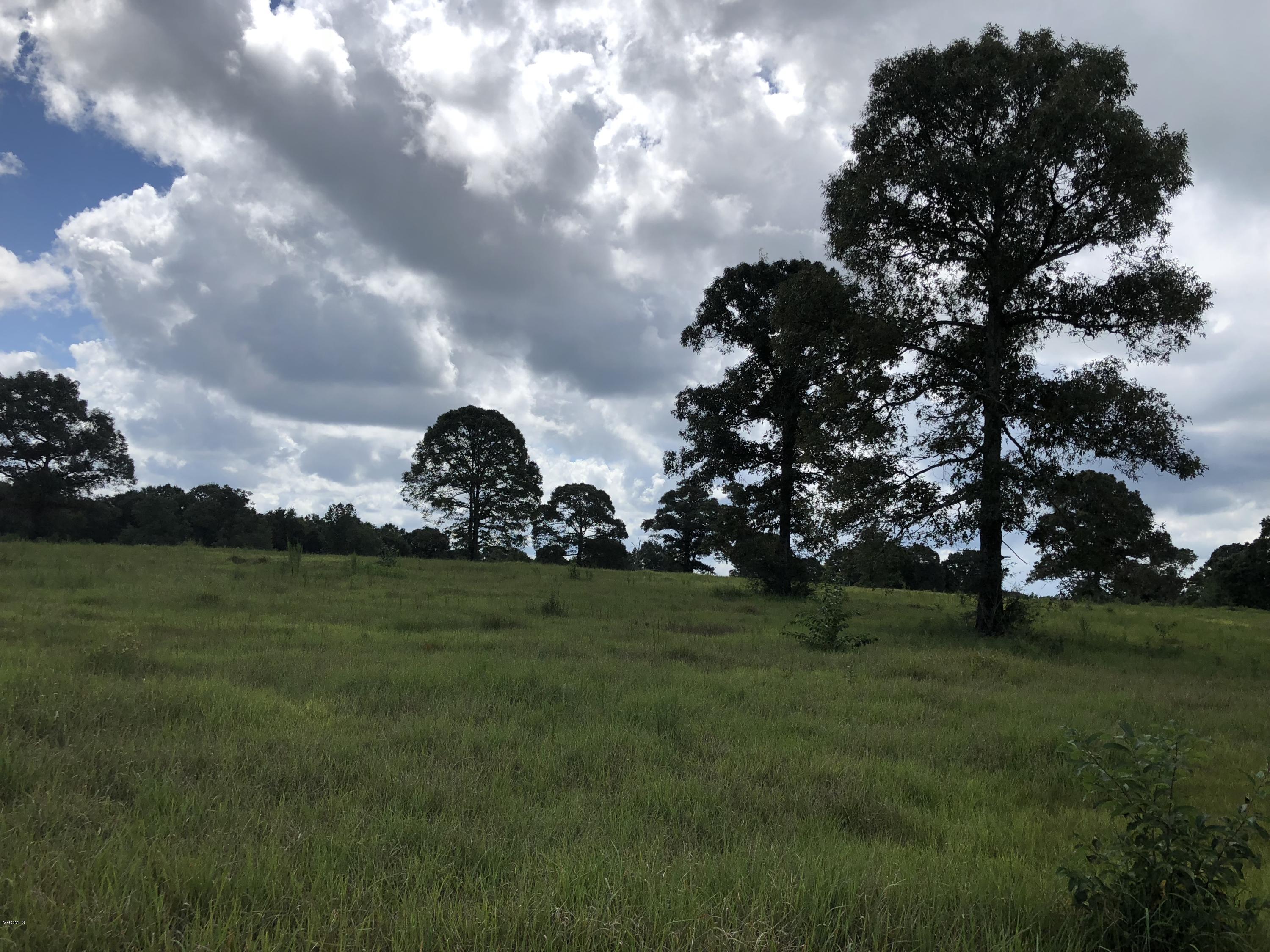 0 Kell Road Lucedale, MS 39452 - Photo 3 of 14 017