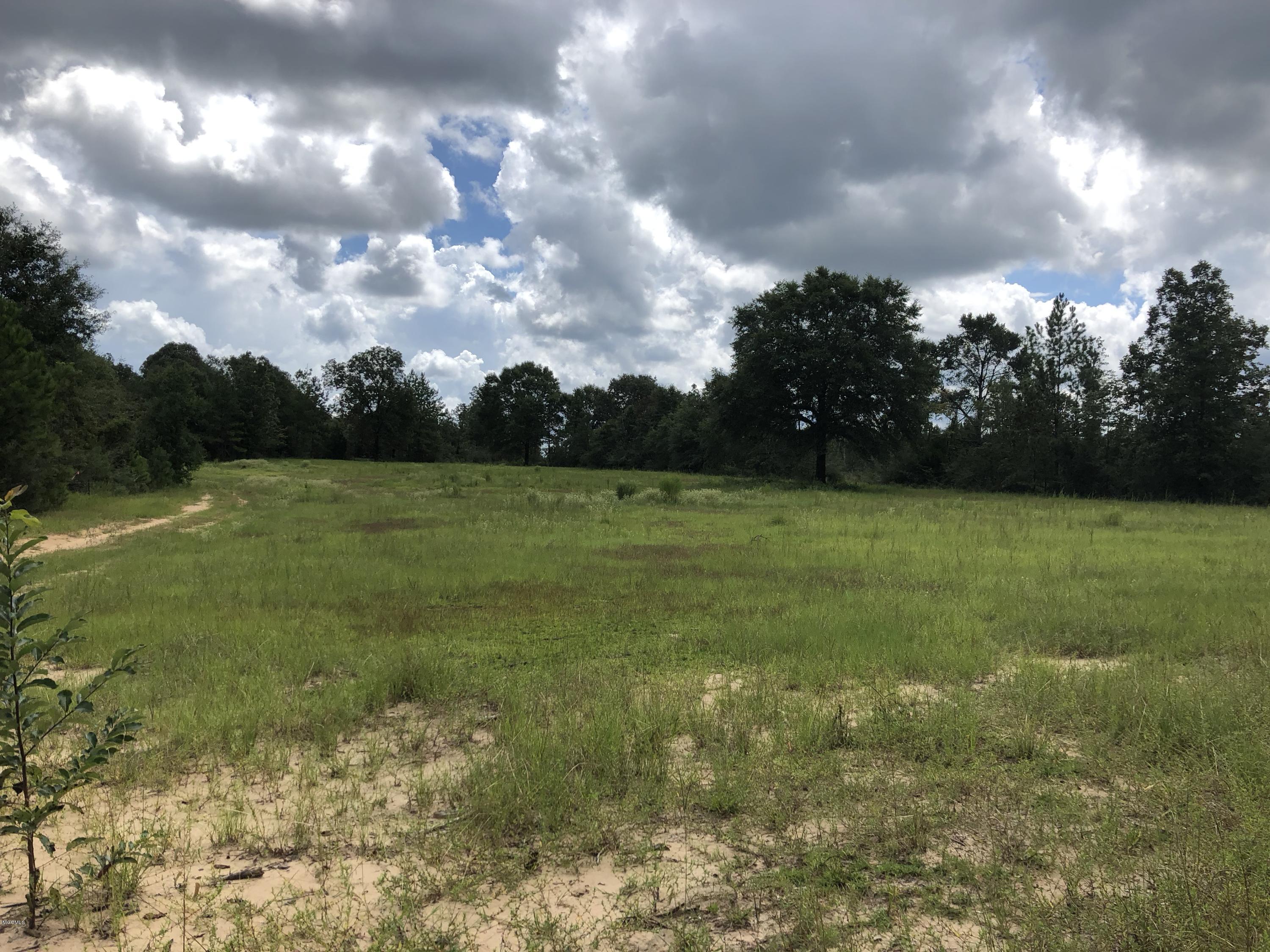 0 Kell Road Lucedale, MS 39452 - Photo 6 of 14 021