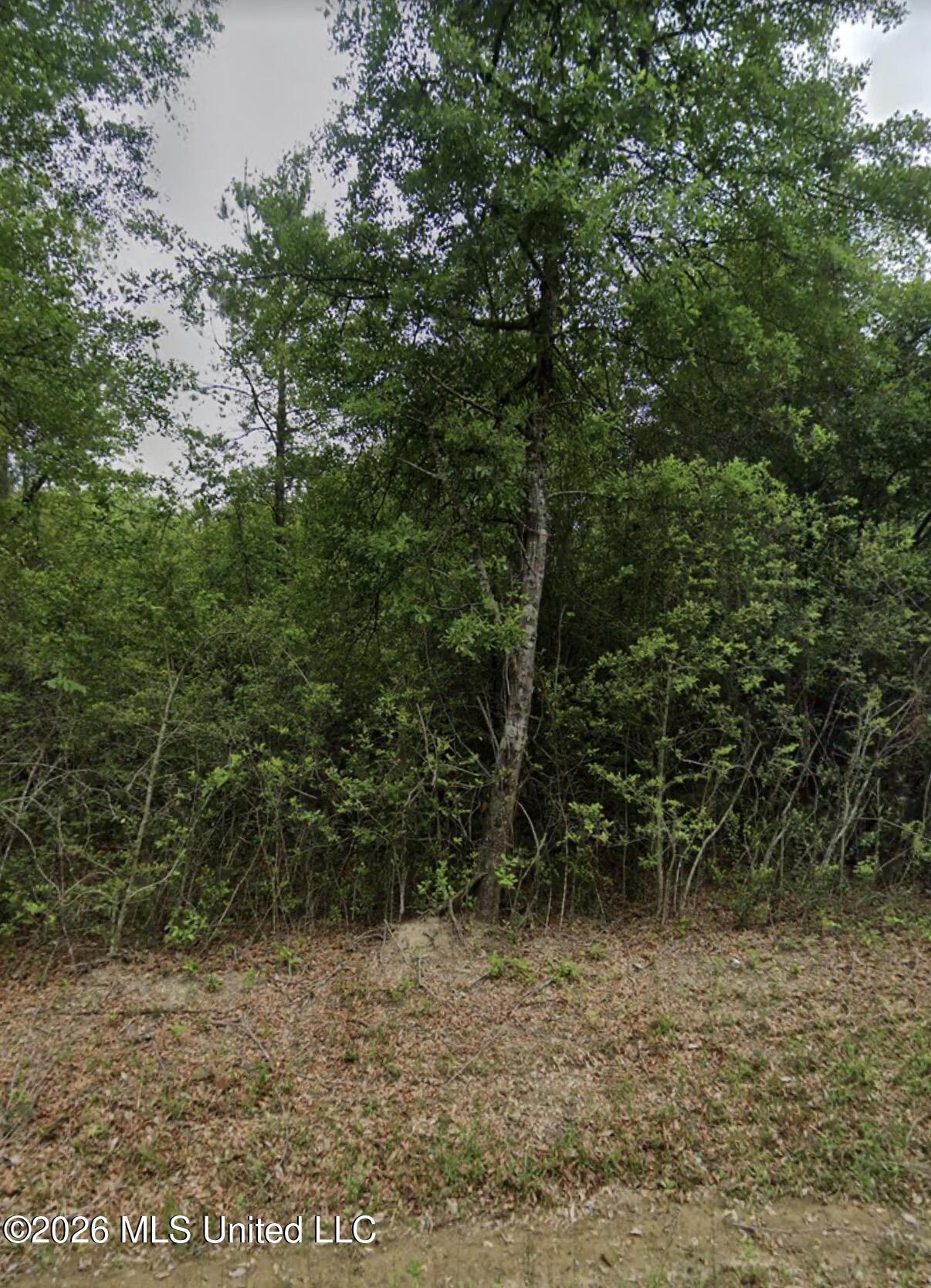 25079 Ramsey Road Saucier, MS 39574 - Photo 2 of 3 Ramsey Rd