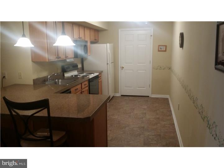 427 Brandon Road Norristown, PA 19403 - Photo 11 of 19 Gallery Image 11