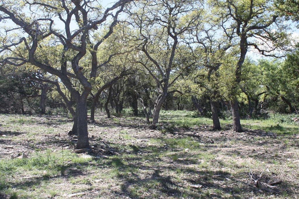 315 Lake Ridge Road Kerrville, TX 78028 - Photo 4 of 5 Gallery Image 4