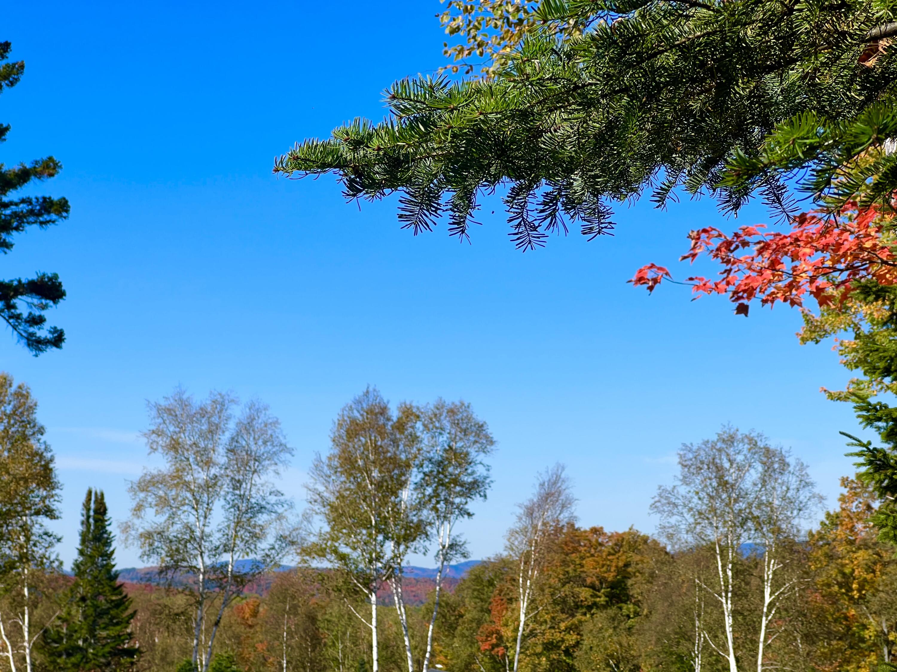 Rangeley Johnson Lane, Unit 82 Rangeley, ME 04970 - Photo 16 of 16 Mountains