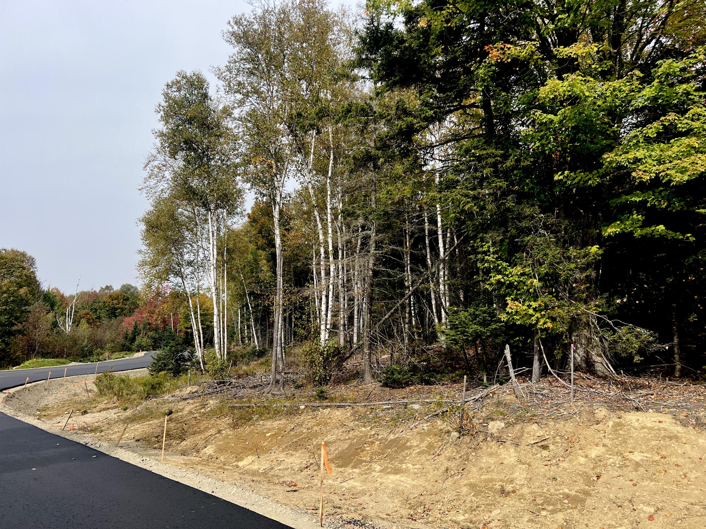 Rangeley Johnson Lane, Unit 82 Rangeley, ME 04970 - Photo 5 of 16 1.86 Acre Lot