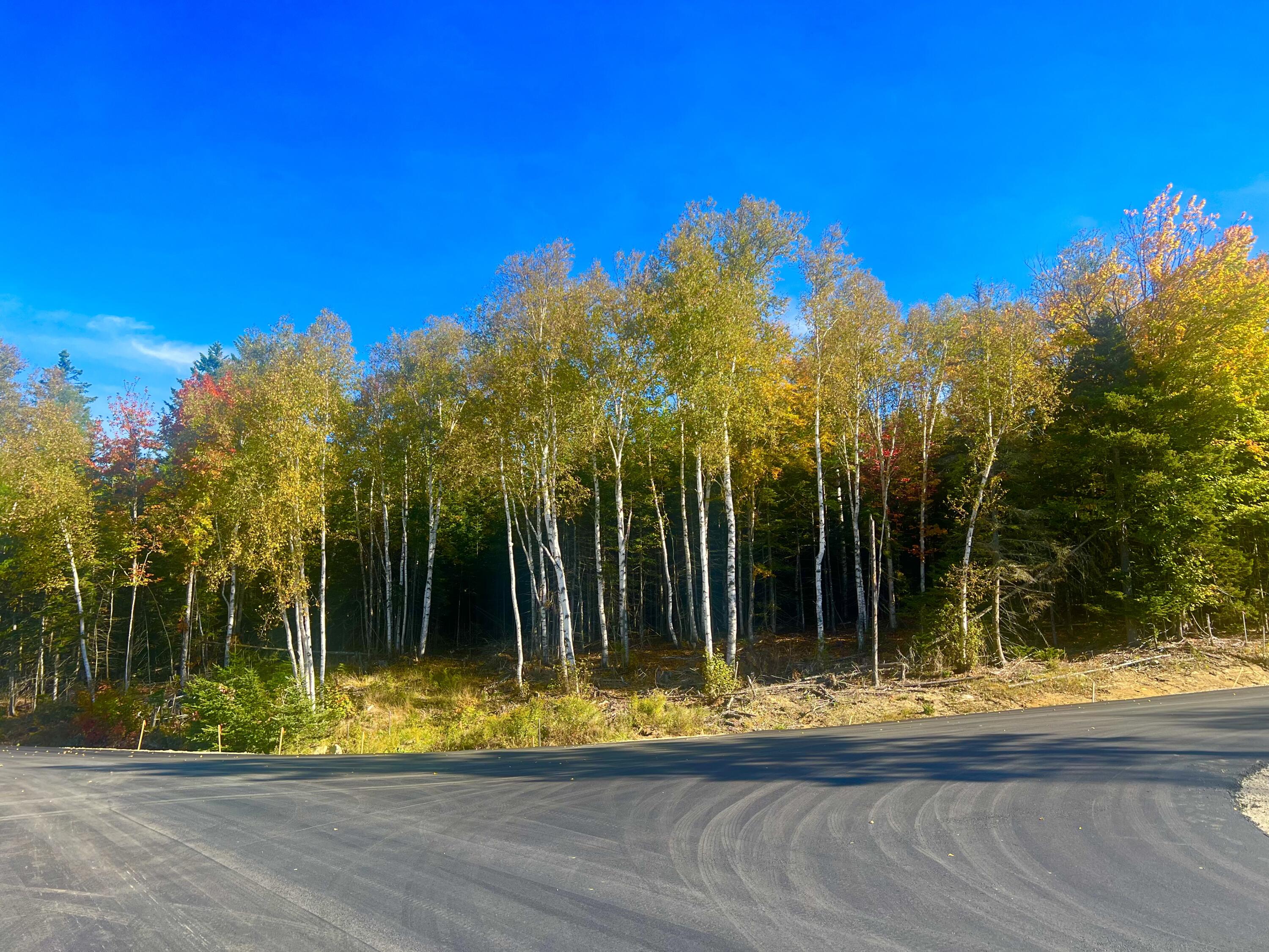 Rangeley Johnson Lane, Unit 82 Rangeley, ME 04970 - Photo 8 of 16 Corner Location