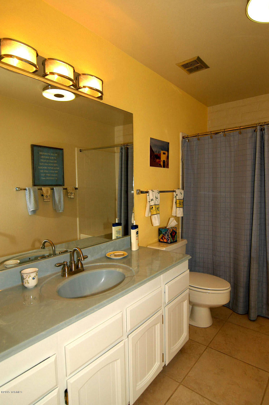 706 West Roller Coaster Road Tucson, AZ 85704 - Photo 15 of 23
