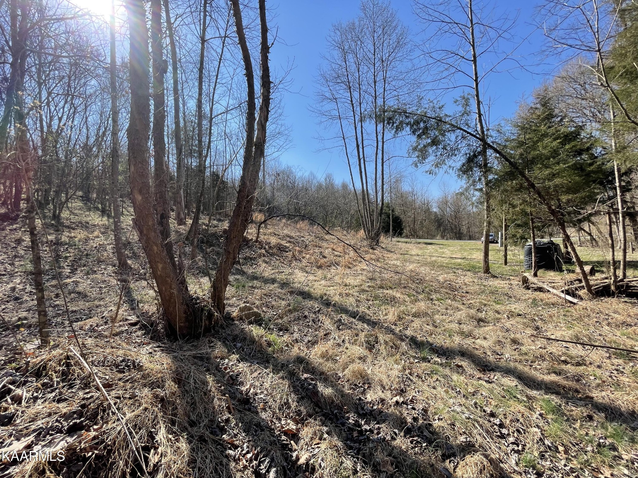 102 Mountain Mist Lane Del Rio, TN 37727 - Photo 10 of 35 a view of a yard with trees