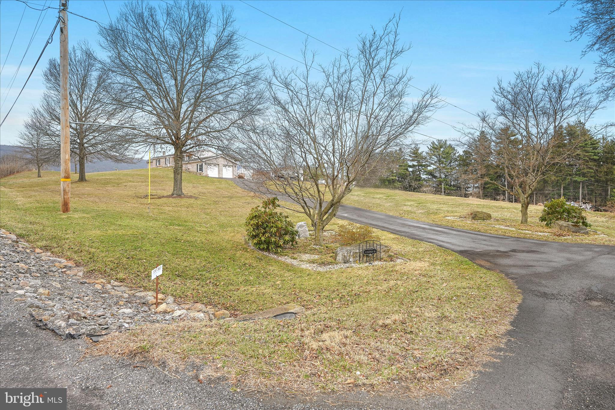 3 Coleman Road Hegins, PA 17938 - Photo 7 of 52 a view of yard with tree