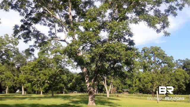 12678 Bender Road Foley, AL 36535 - Photo 20 of 20