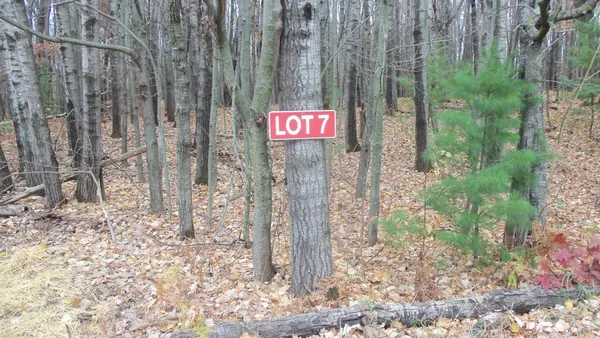 $34,900 | Lot 7 Herman Johnson Road, Siren, WI 54872
