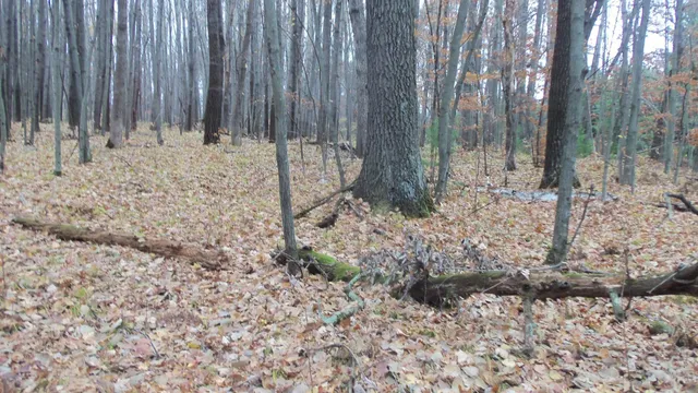 $34,900 | Lot 7 Herman Johnson Road, Siren, WI 54872