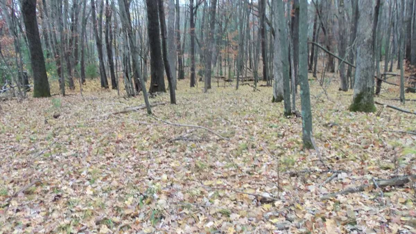 $34,900 | Lot 7 Herman Johnson Road, Siren, WI 54872