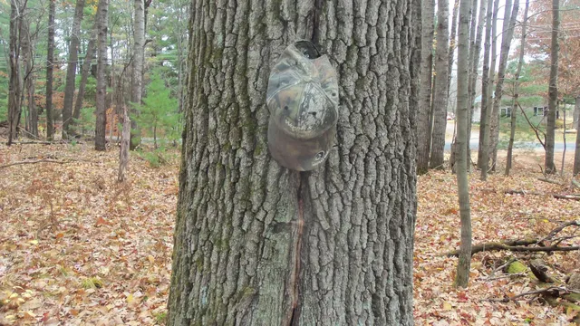 $34,900 | Lot 7 Herman Johnson Road, Siren, WI 54872