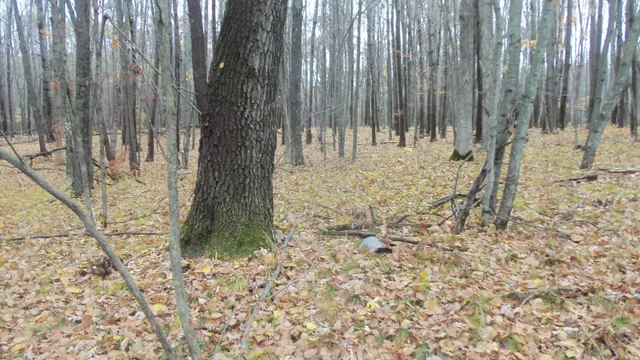 $34,900 | Lot 7 Herman Johnson Road, Siren, WI 54872