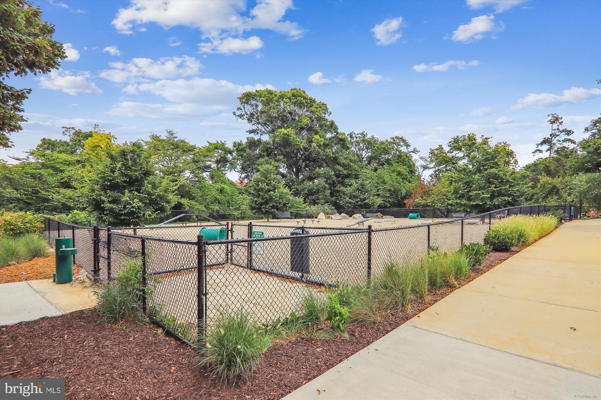 6803 Cameron Drive Northwest, Unit 1 Washington, DC 20012 - Photo 23 of 58