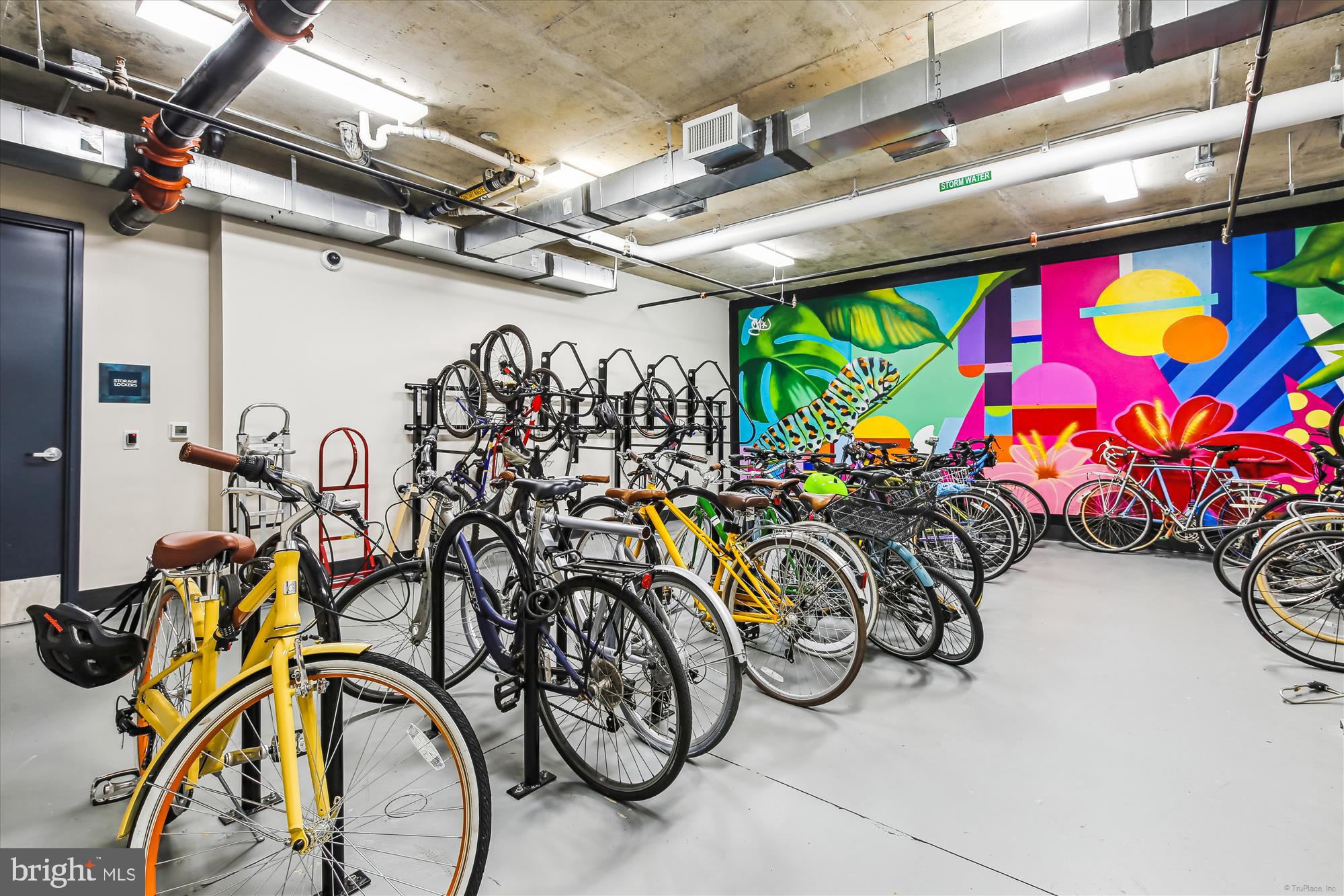 6803 Cameron Drive Northwest, Unit 1 Washington, DC 20012 - Photo 45 of 58