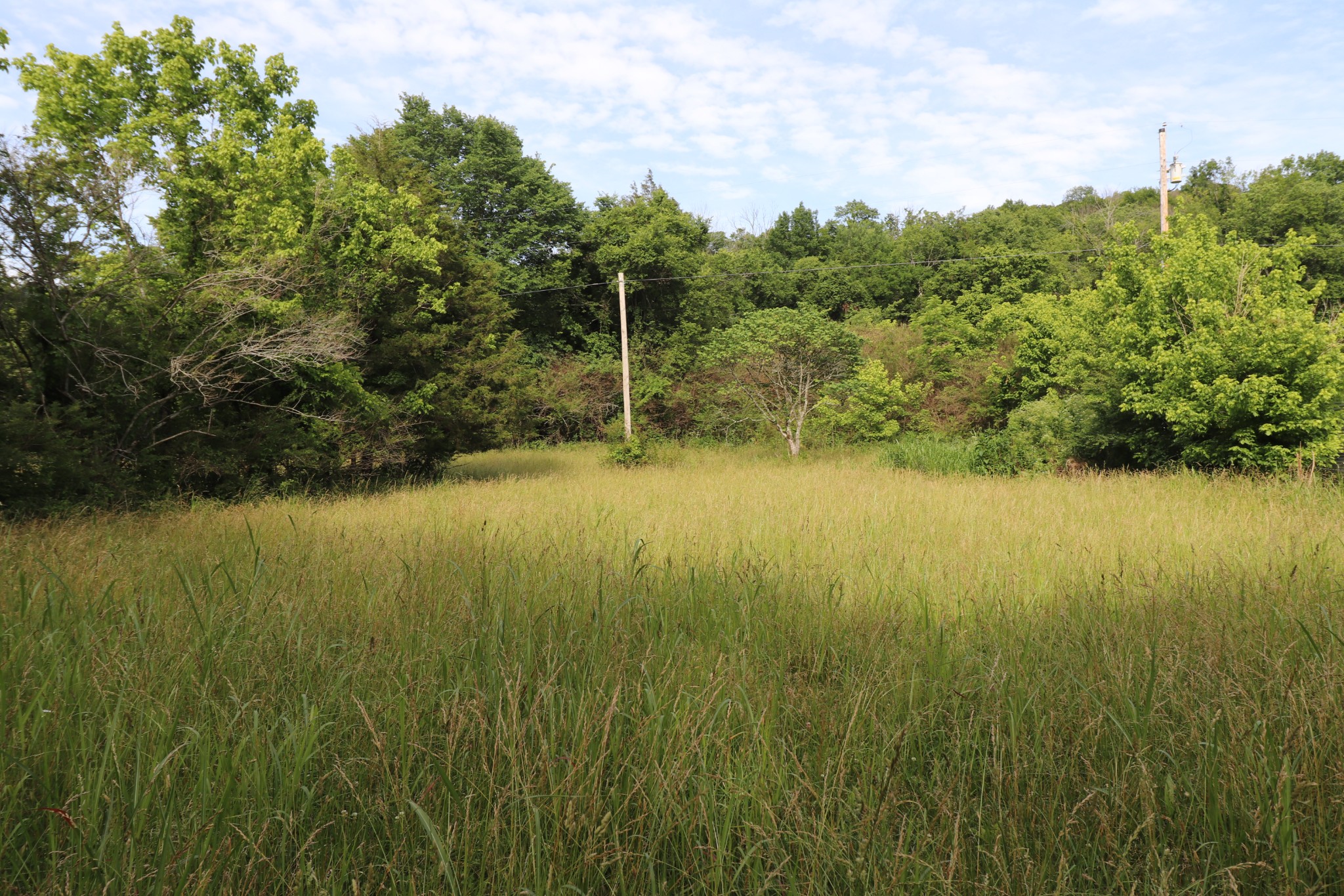 3339 Carter Branch Road Hartsville, TN 37074 - Photo 12 of 13 Gallery Image 12