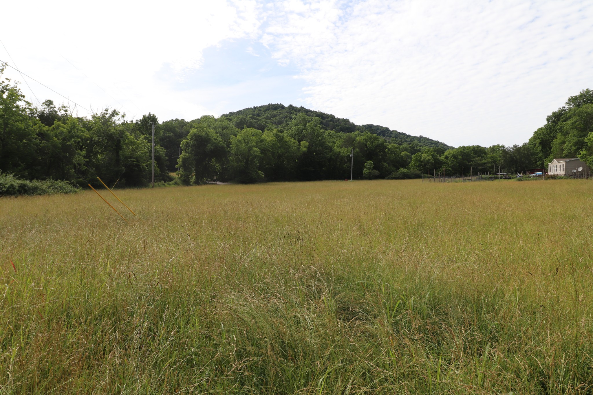 3339 Carter Branch Road Hartsville, TN 37074 - Photo 6 of 13 Gallery Image 6