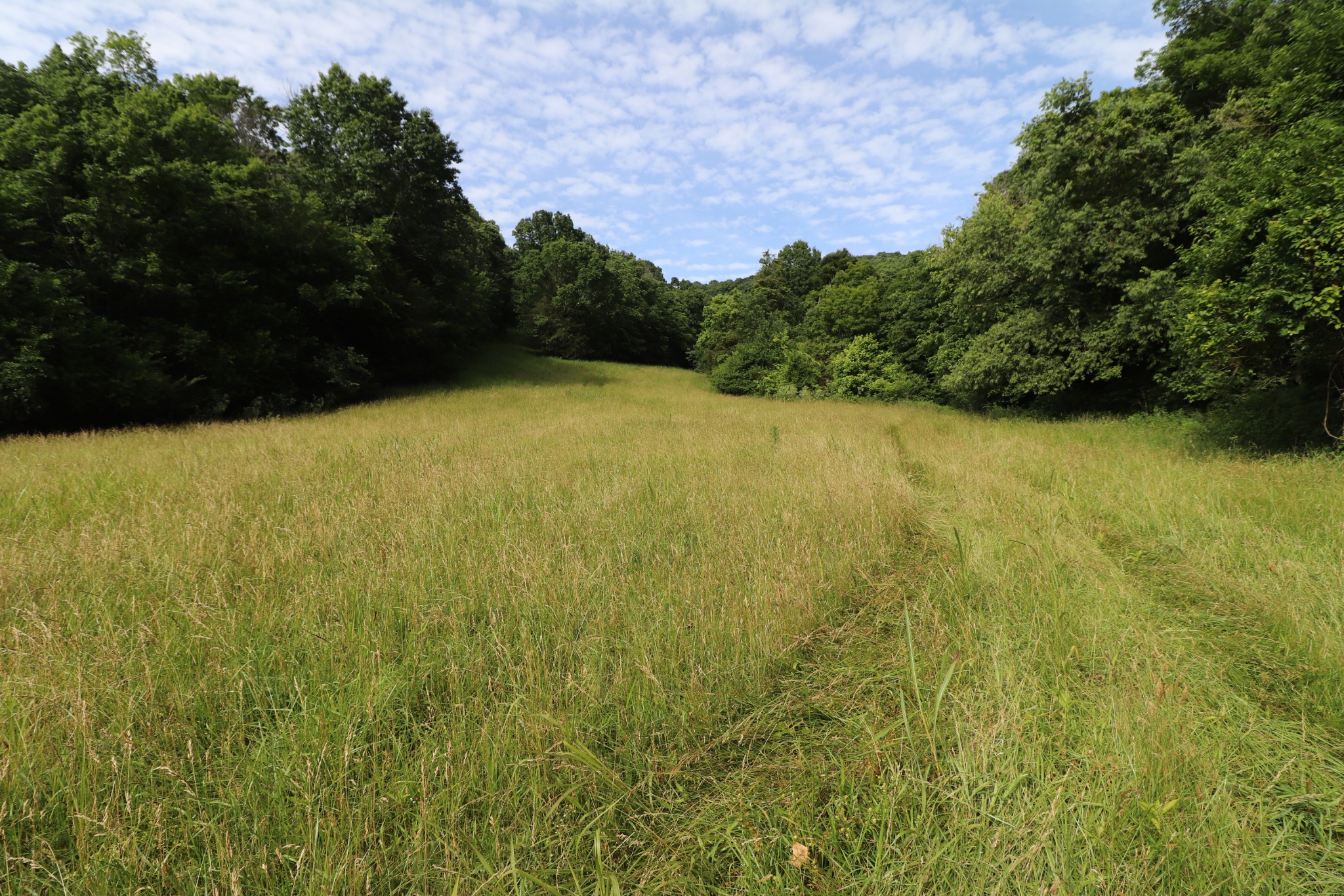 3339 Carter Branch Road Hartsville, TN 37074 - Photo 9 of 13 Gallery Image 9