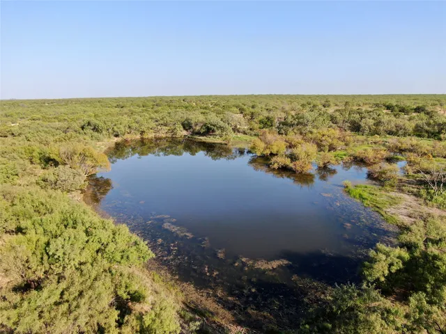 a view of a yard with plants and trees