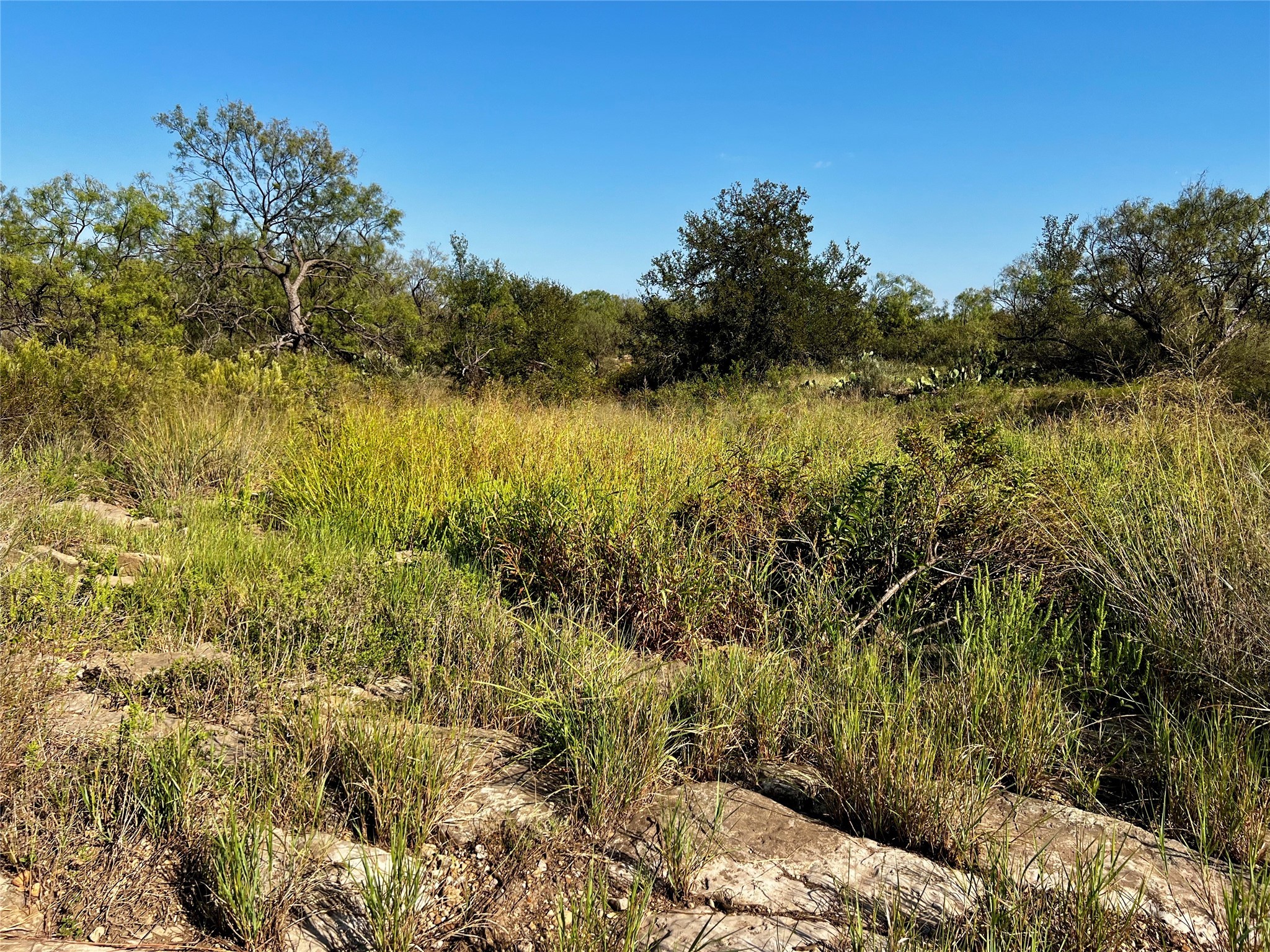 332 Rd Lohn Tx 76852 Road Lohn, TX 76852 - Photo 34 of 37