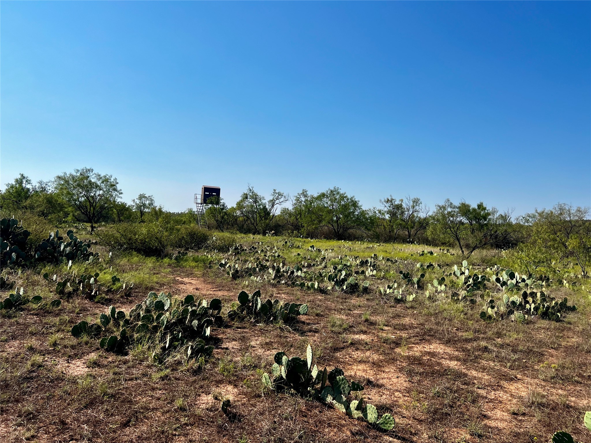 332 Rd Lohn Tx 76852 Road Lohn, TX 76852 - Photo 36 of 37 a view of a city with lots of trees