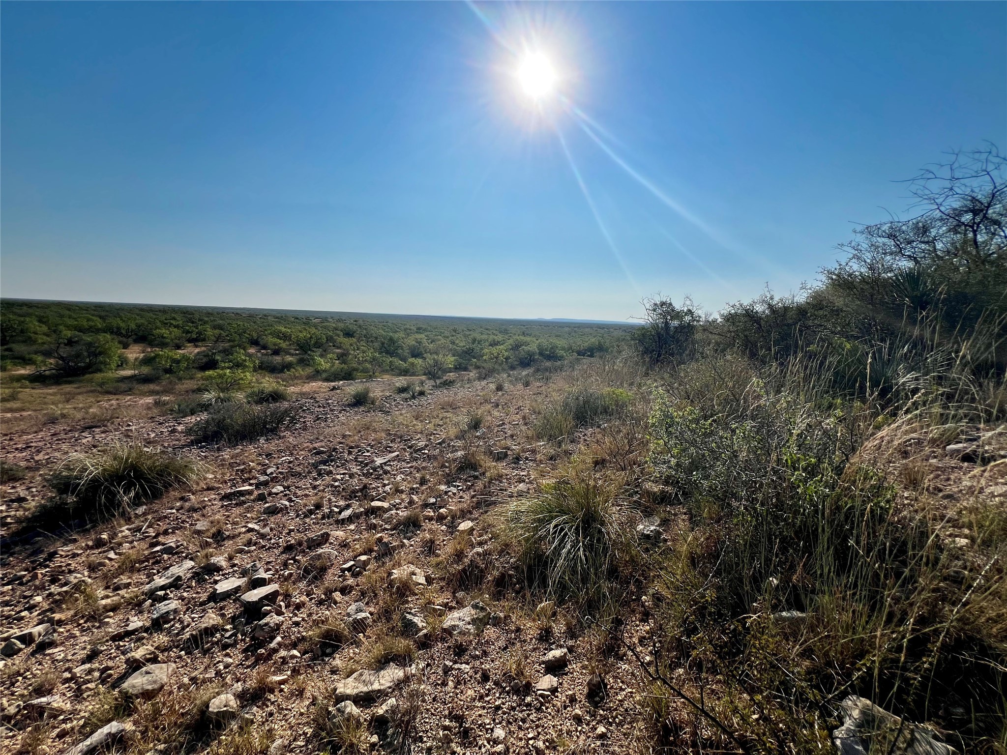 332 Rd Lohn Tx 76852 Road Lohn, TX 76852 - Photo 37 of 37 a view of a field with trees in background