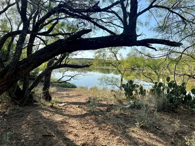 a view of a yard with plants and trees