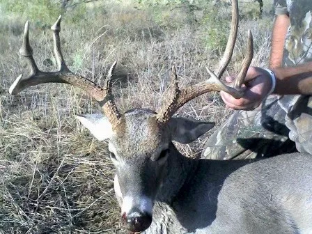 a view of outdoor space yard and outdoor seating