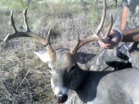332 Rd Lohn Tx 76852 Road Lohn, TX 76852 - Photo 8 of 37 a vase of flowers sitting on a table