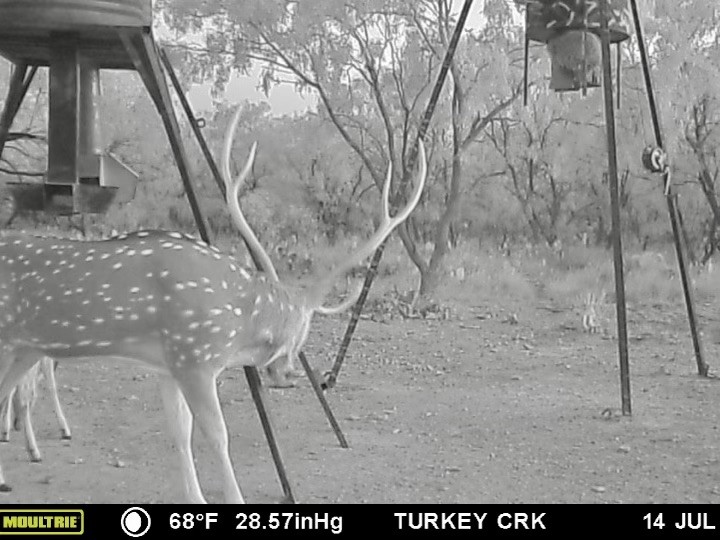 332 Rd Lohn Tx 76852 Road Lohn, TX 76852 - Photo 10 of 37 a view of entryway