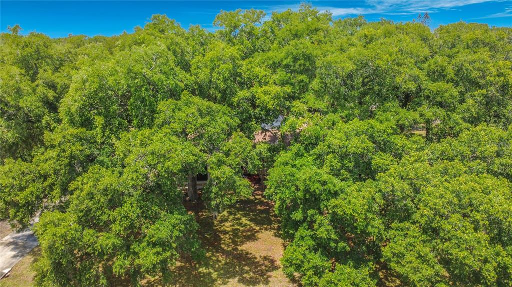 420 Nina Road Northeast Palm Bay, FL 32907 - Photo 86 of 90