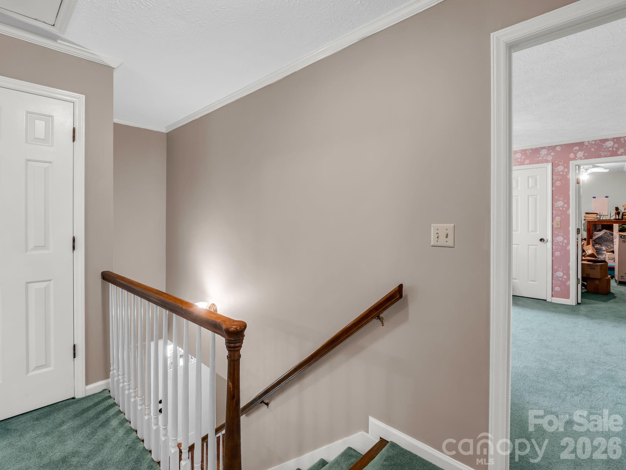213 Raintree Drive Hendersonville, NC 28791 - Photo 41 of 48
