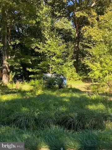 a view of yard with green space