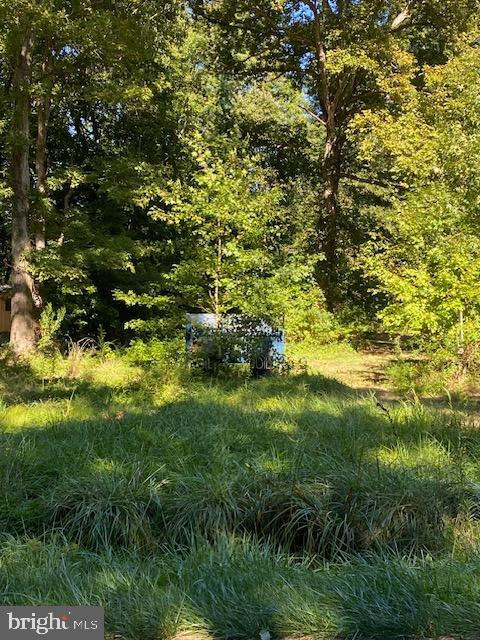 a view of yard with green space