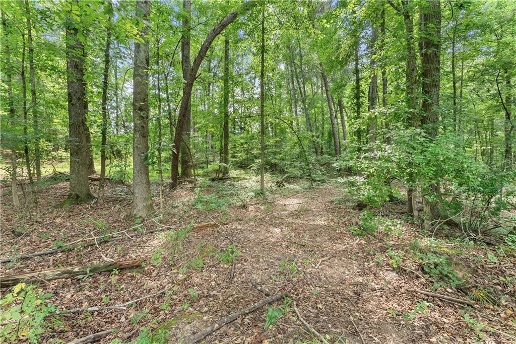 0 Jackson Trail Road Jefferson, GA 30549 - Photo 13 of 25 Gallery Image 13