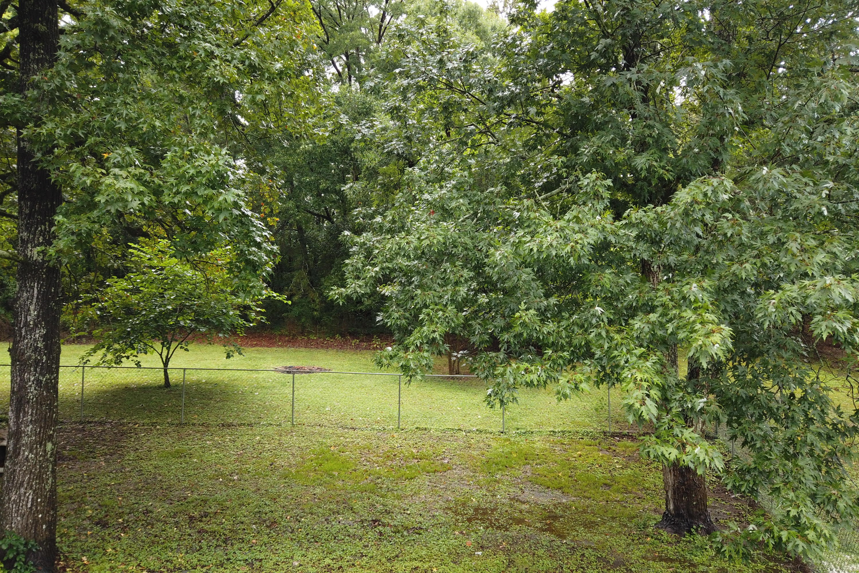 1041 Graysville Road Ringgold, GA 30736 - Photo 5 of 37 back yard