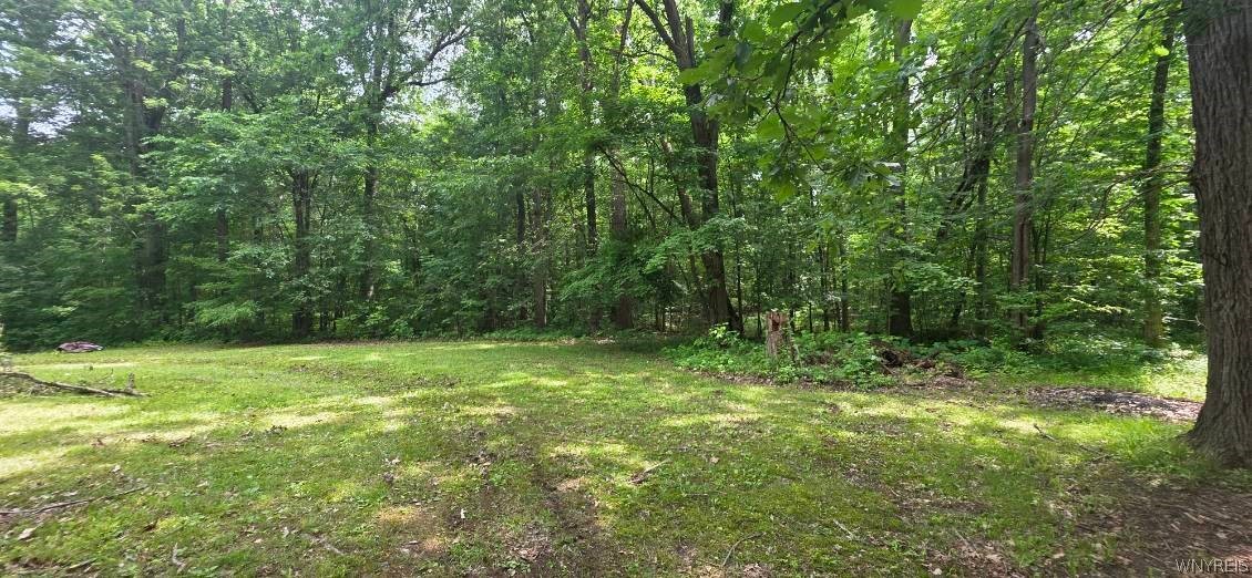 8905 County Road Clarence, NY 14032 - Photo 10 of 46