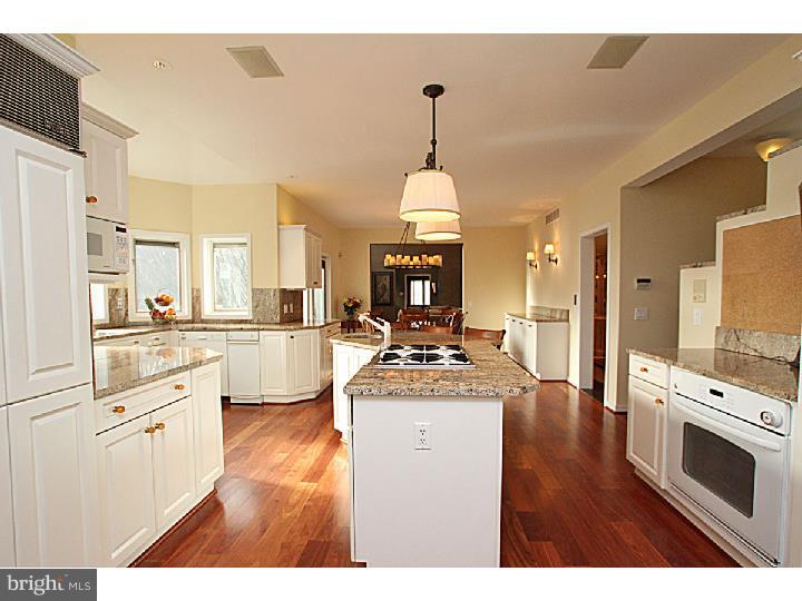 738 Righters Mill Road Penn Valley, PA 19004 - Photo 17 of 25 Kitchen