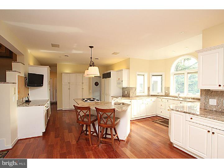738 Righters Mill Road Penn Valley, PA 19004 - Photo 3 of 25 Kitchen